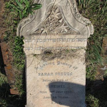 MEISEL Sarah Fredda -1905