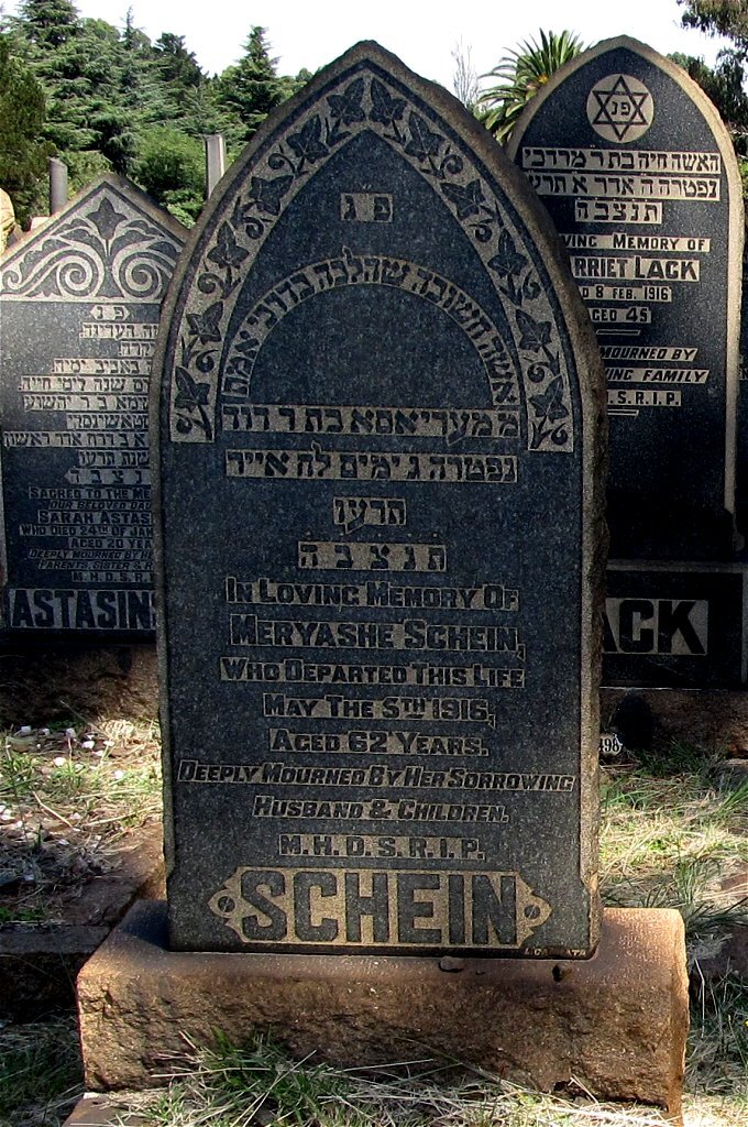 SCHEIN Meryashe -1916