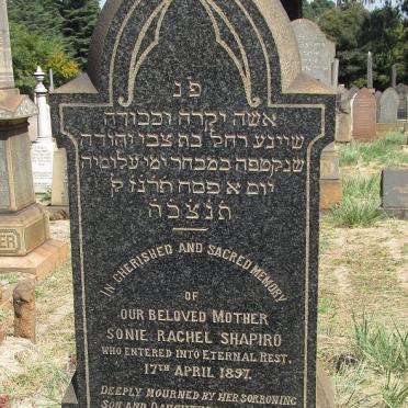 SHAPIEO Sonie Rachel -1897