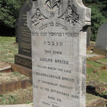 SPRINZ Adolph -1903