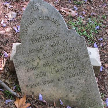 ARNOLDI Bierman -1893