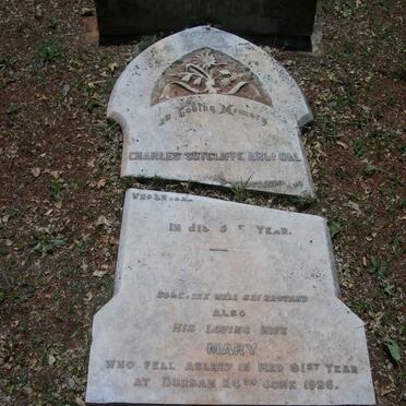 A - Surnames :: Vanne - A