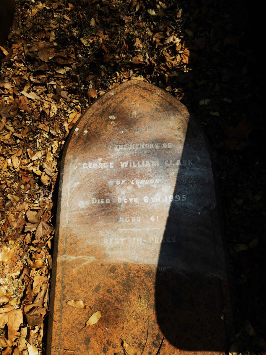 CLARK George William -1895