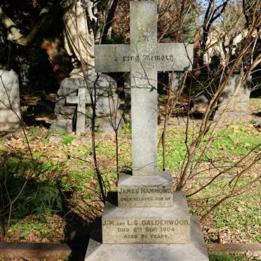 CALDERWOOD :: ANDERSON :: WHITTOME