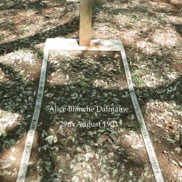 DALMAINE Alice Blanche -1903