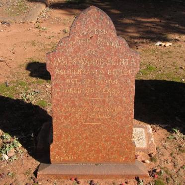 FLINT James Waugh -1904