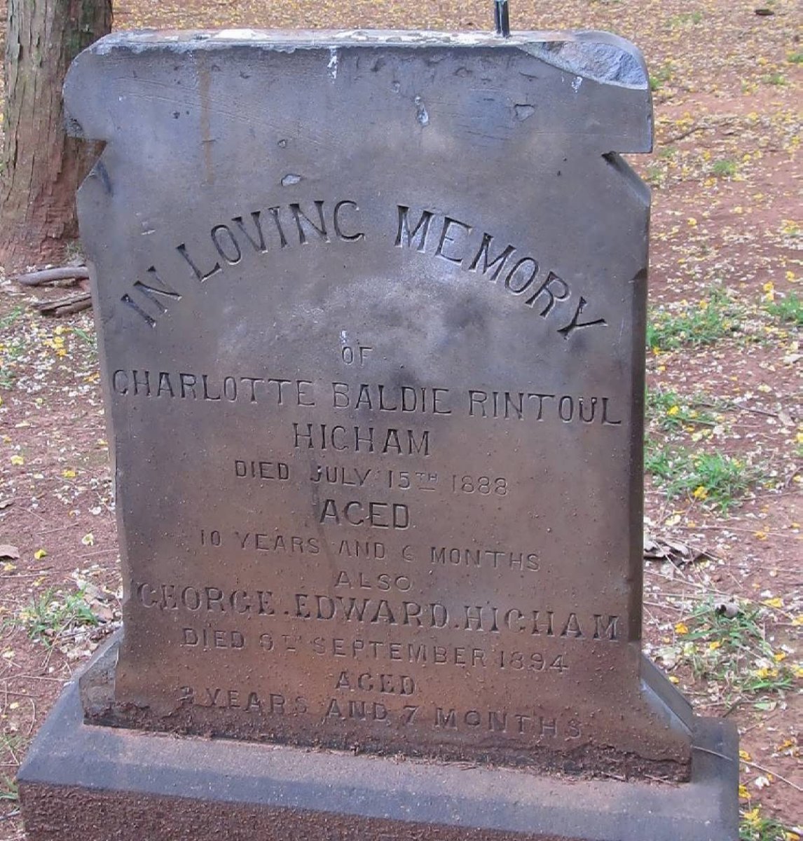 HIGHAM Charlotte Baldie Rintoul -1888 :: HIGHAM George Edward -1894 