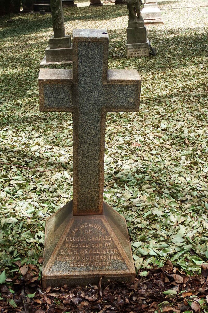 MCALLISTER George Charles -1896