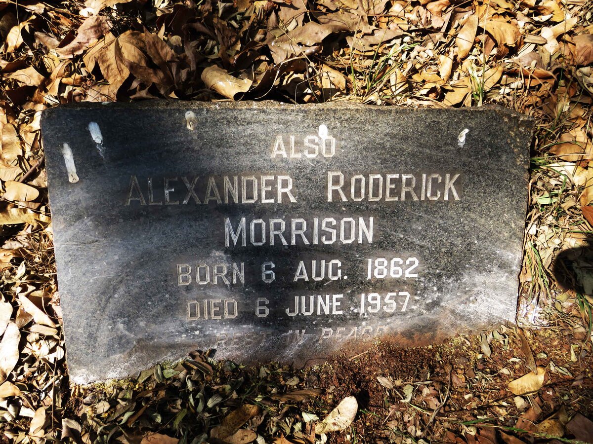 MORRISON Alexander Roderick 1862-1957