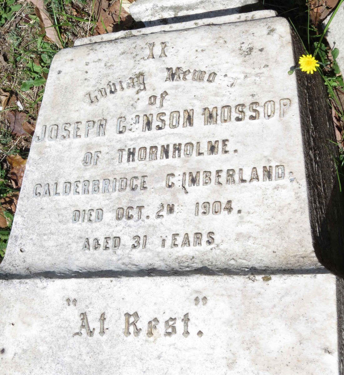 MOSSOP Joseph Gunson -1904