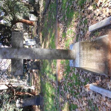 SOLOMON Gertrude Mary -1904 :: SOLOMON Saul 1904-1904