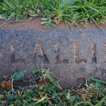 ? Dad :: ? Mother -1913 :: Walter -1907 :: ? Stella :: ? Lallie :: ? Scott 