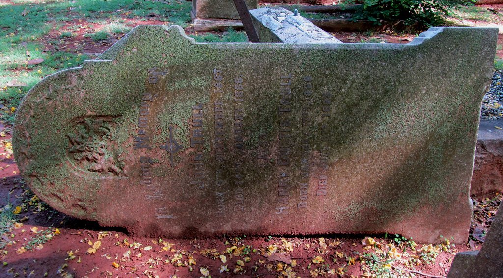 TRULL Harry Morris 1858- :: TRULL John 1887-1888