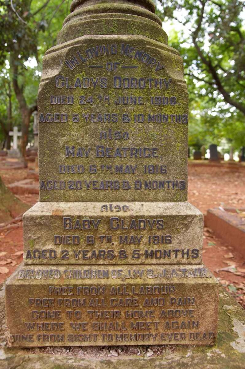 TARR Gladys Dorothy -1906 :: TARR May Beatrice -1916 :: TARR Gladys -1916