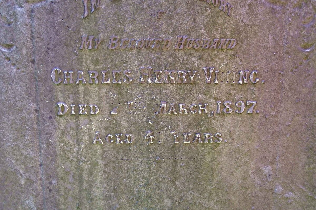 VINING Charles Henry -1897