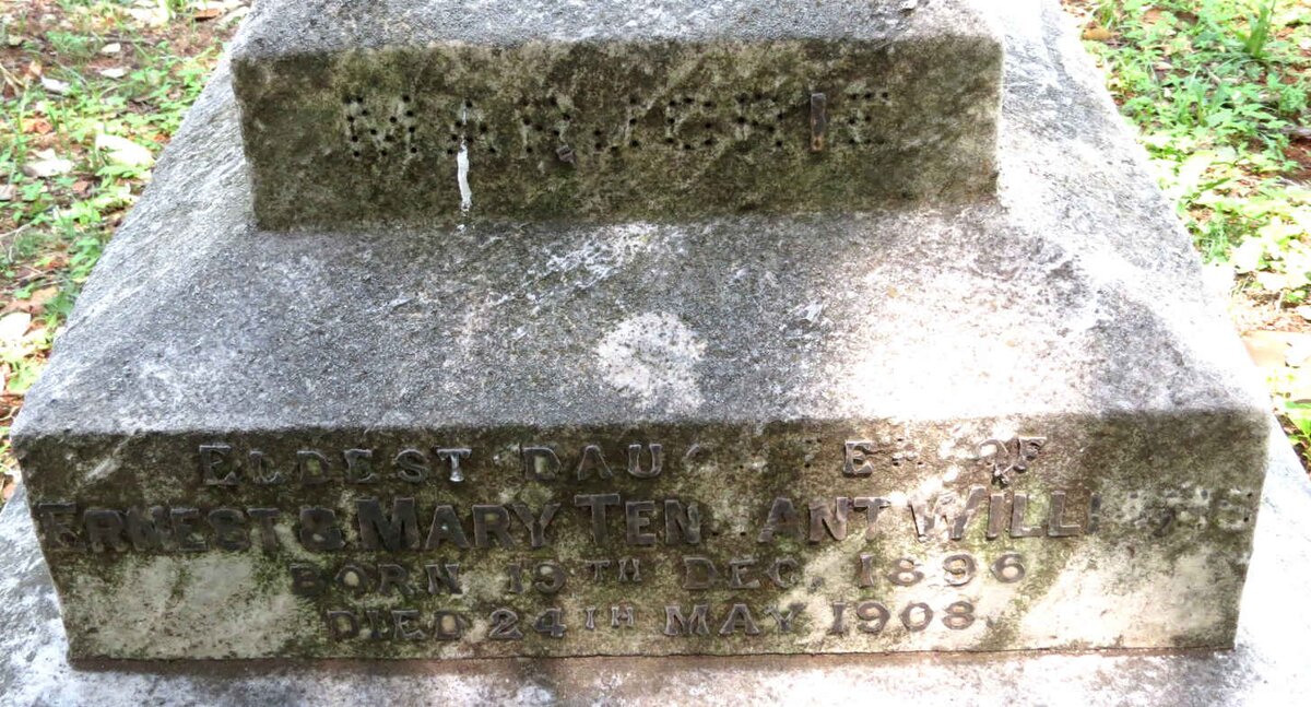 WILLIAMS Marjorie, TENNANT 1896-1908