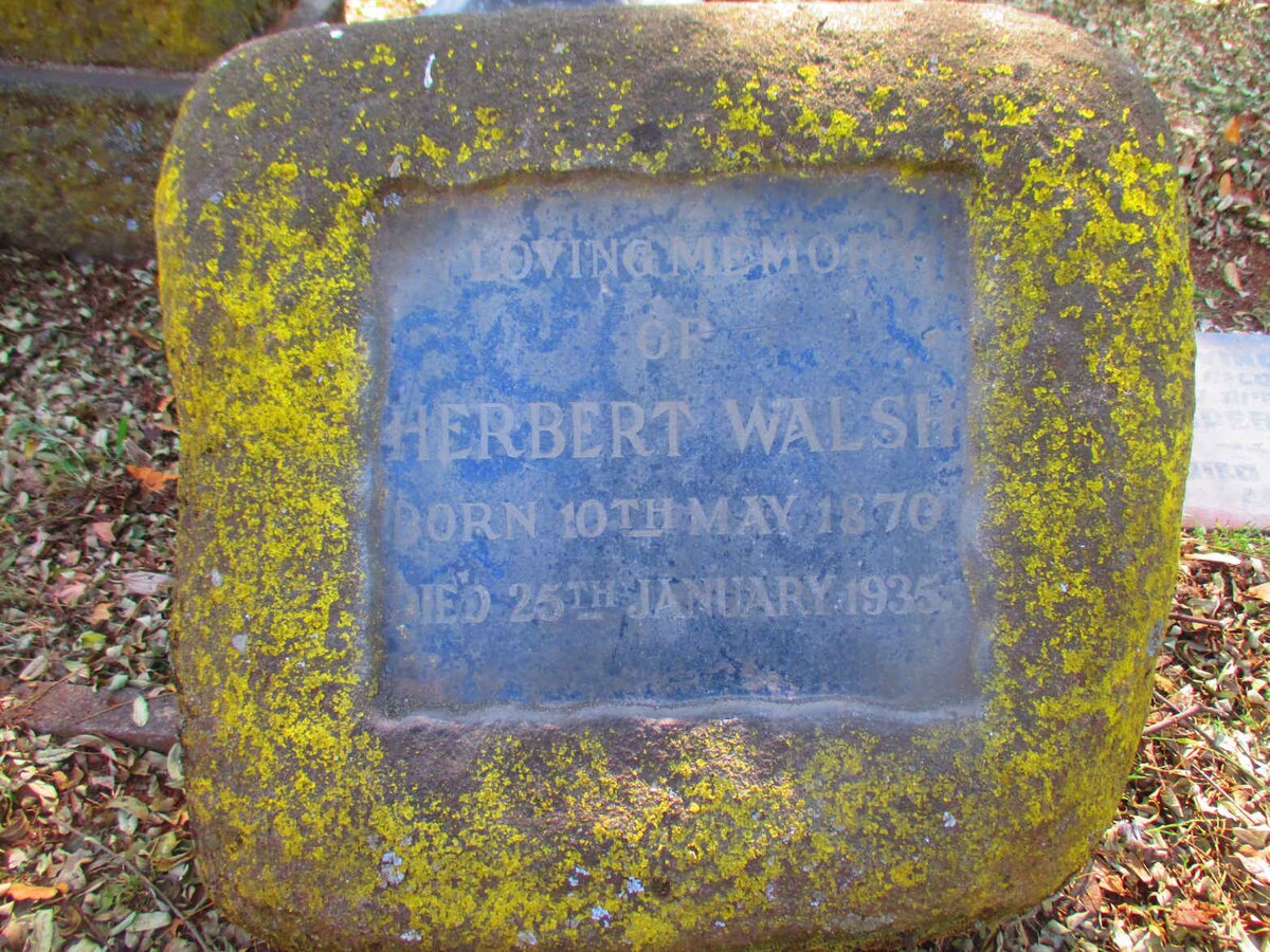 WALSH Herbert 1870-1935