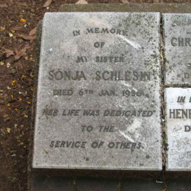 SCHLESIN Sonja -1956