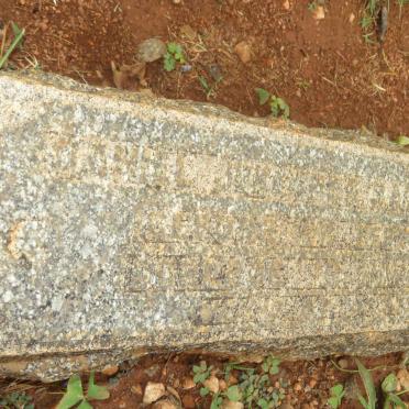 RAUTENBACH Daniel Johannes -1914