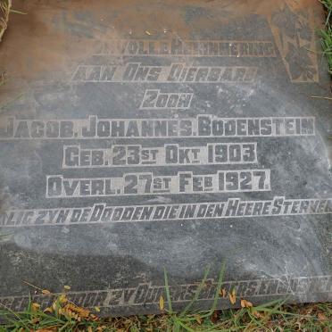 BODENSTEIN Jacob Johannes 1903-1927