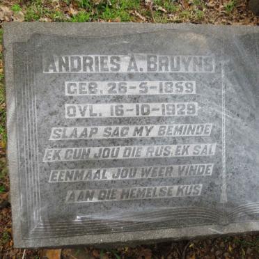 BRUYNS Andries A. 1859-1929
