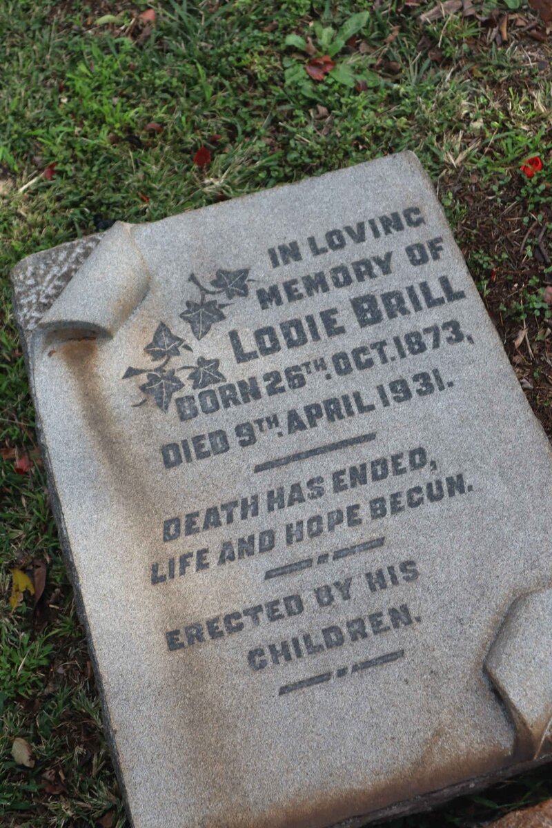 BRILL Lodie 1873-1931