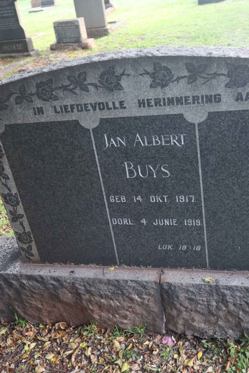 BUYS Jan Albert 1917-1919