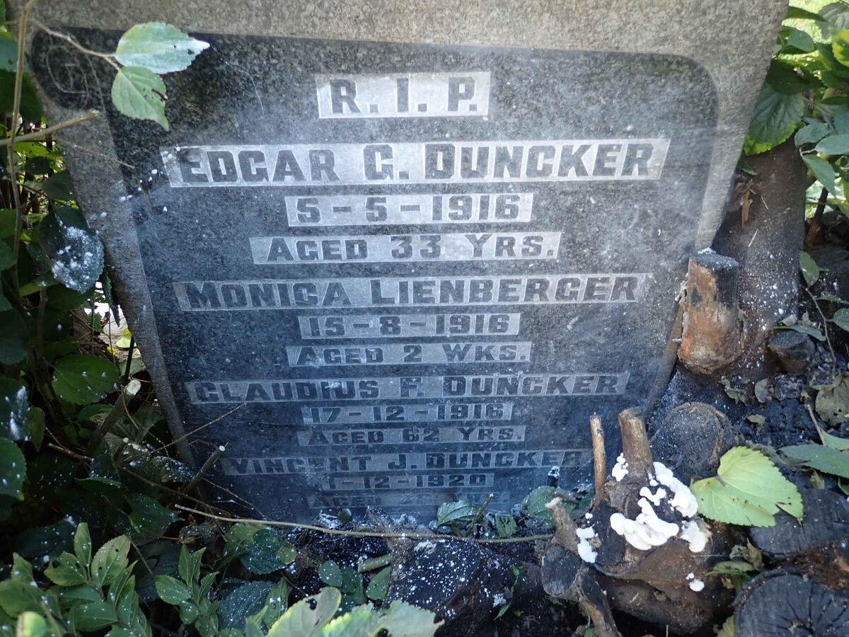 DUNCKER :: LIENBERGER