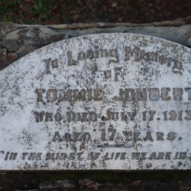 JOUBERT Tommie -1913