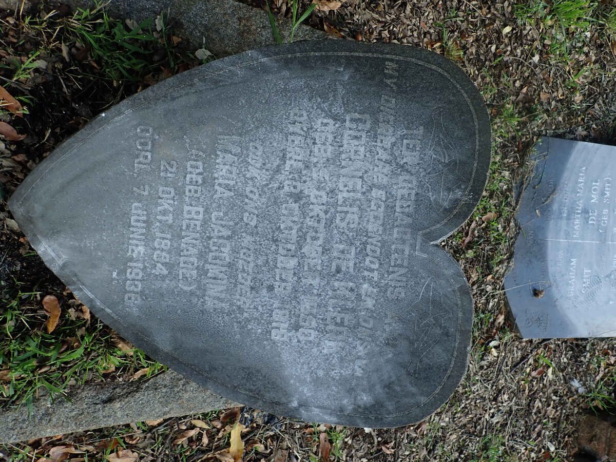 KLERK Cornelis, de 1850-1918 &amp; Maria Jacomina BENADE 1854-1936