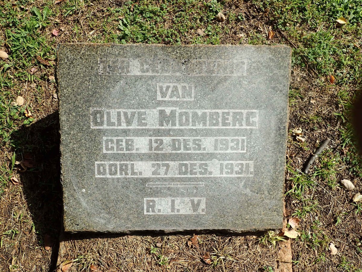 MOMBERG Olive 1931-1931