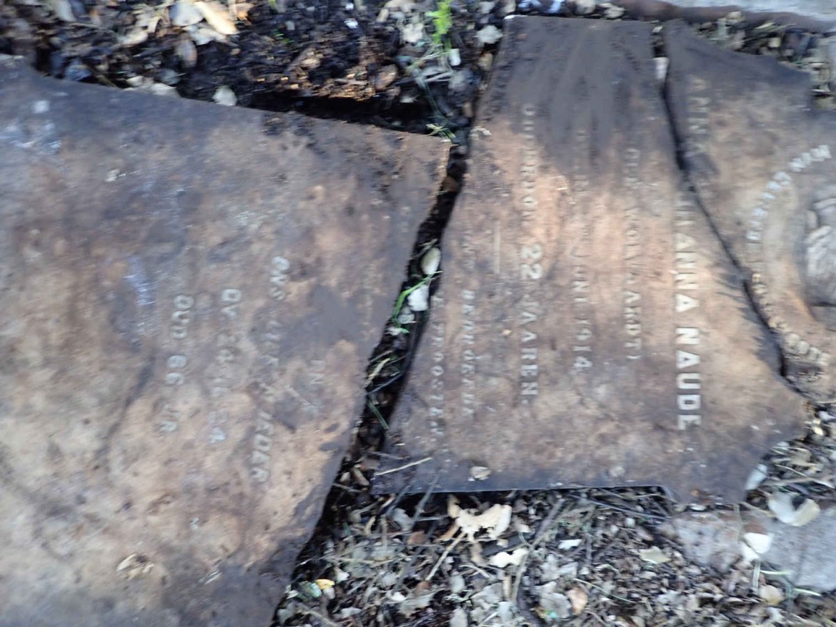 NAUDE Anna Johanna nee WOLVAARDT -1914 :: ? Moeder -1924