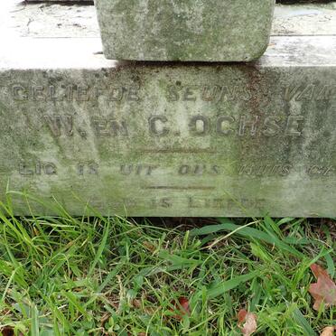 OCHSE William Lennox -1945 &amp; Catherine TRUTER -1948 :: OCHSE Lennox -1924