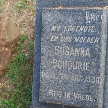 SCHOURIE Susanna -1930