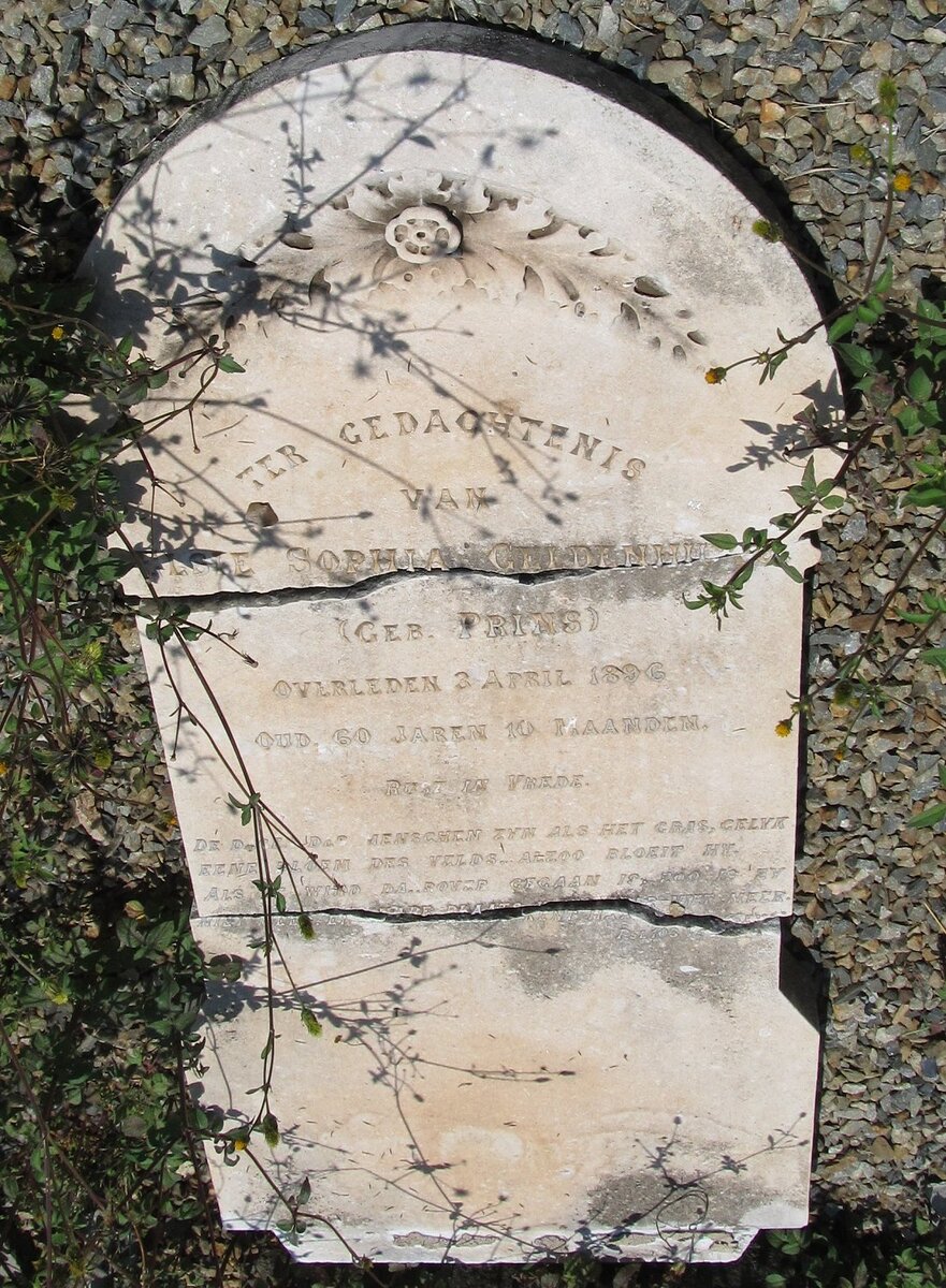 GELDENHUYS Elsie Sophia nee PRINS -1896