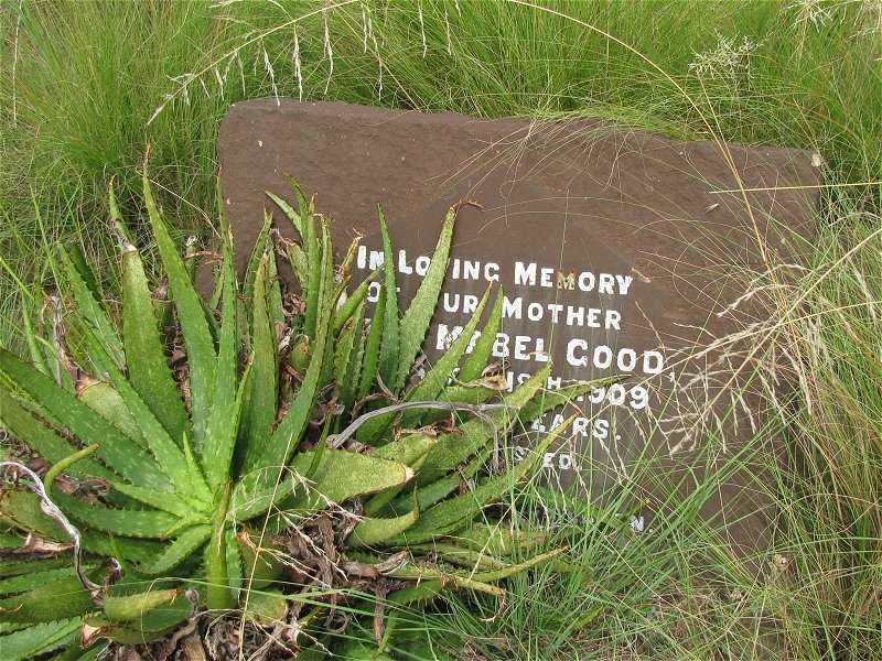 GOOD Alice Mabel  -1909