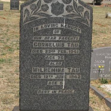 TAU Cornelius -1941 &amp; Wilhemina -1942