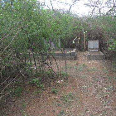 Gauteng, JOHANNESBURG, Sandton, Linbro Park, Brolin family cemetery