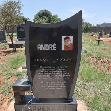 DIPPENAAR Andre 1982-2016