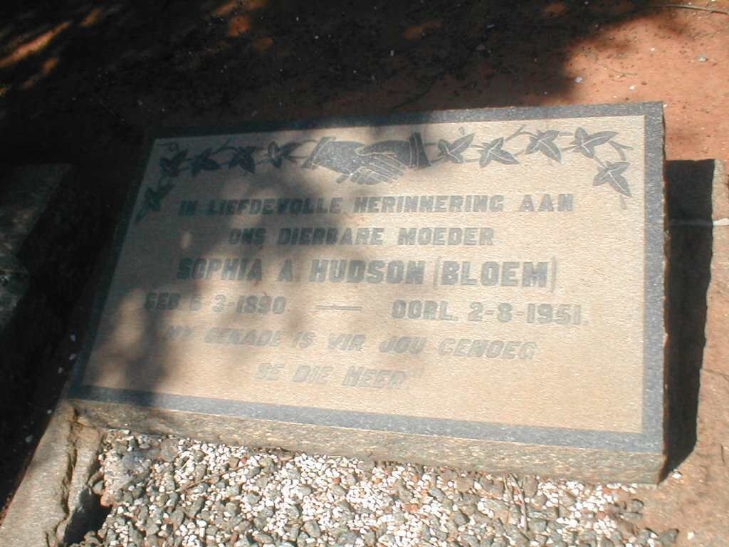 HUDSON Sophia A. geb. BLOEM  1890-1951