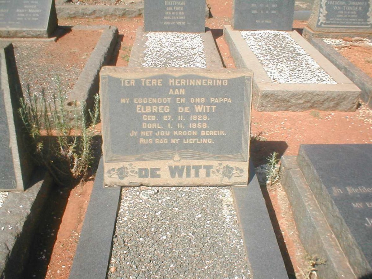 WITT Elbreg, de 1929-1956