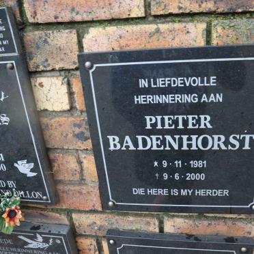 BADENHORST Pieter 1981-2000