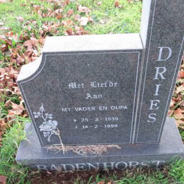 BADENHORST Dries 1939-1998