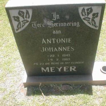 MEYER Antonie Johannes 1943-1983