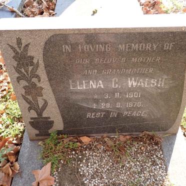 WALSH Elena C. 1901-1970