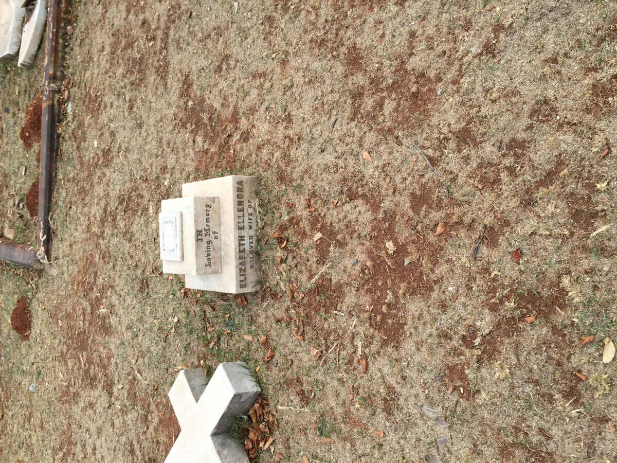 ? Elizabeth Ellenora -1908