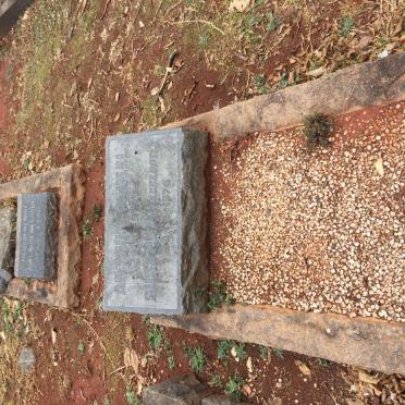 DANEEL  Arthur -1937 &amp; Susanna -1974