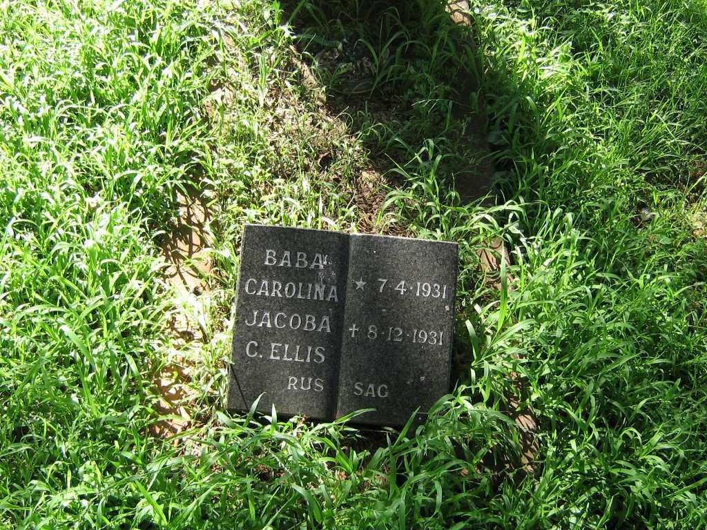 ELLIS Carolina Jacoba C. 1931-1931