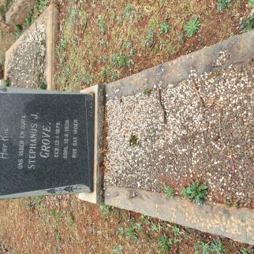 GROVE Stephanus J. 1879-1939