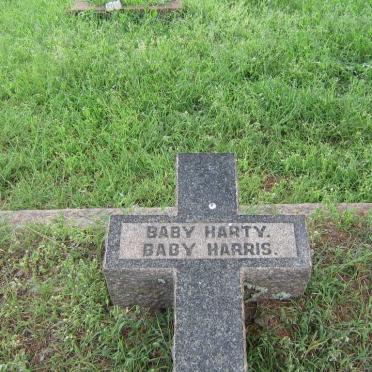 HARTY Baby ::  HARRIS Baby